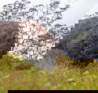 3-Day Cradle Mountain Photography Workshop - Tweed Heads Accommodation