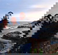 Phillip Island Medium Size Group Tour - Tweed Heads Accommodation