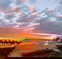 1 Hour Broome Sunset Camel Tour - Tweed Heads Accommodation