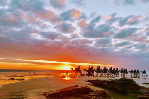 1 Hour Broome Sunset Camel Tour - Tweed Heads Accommodation 0