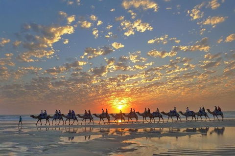 1 Hour Broome Sunset Camel Tour - Tweed Heads Accommodation 1