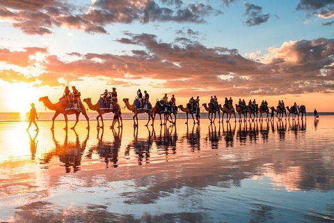 1 Hour Broome Sunset Camel Tour - Tweed Heads Accommodation 2