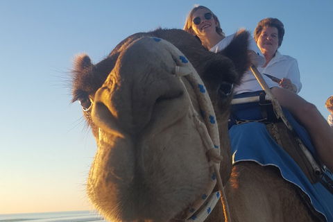 1 Hour Broome Sunset Camel Tour - Tweed Heads Accommodation 4