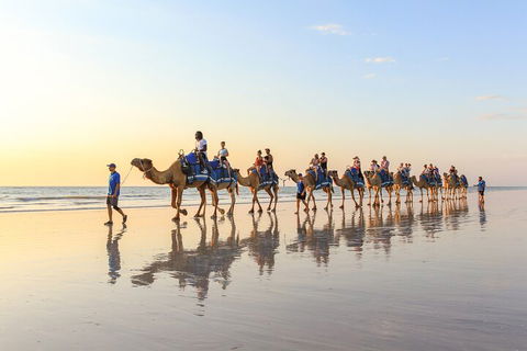 1 Hour Broome Sunset Camel Tour - Tweed Heads Accommodation 5