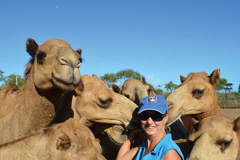 Broome Pre-sunset Camel Tour 30 Minutes - Tweed Heads Accommodation 0