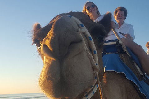 Broome Pre-sunset Camel Tour 30 Minutes - Tweed Heads Accommodation 1