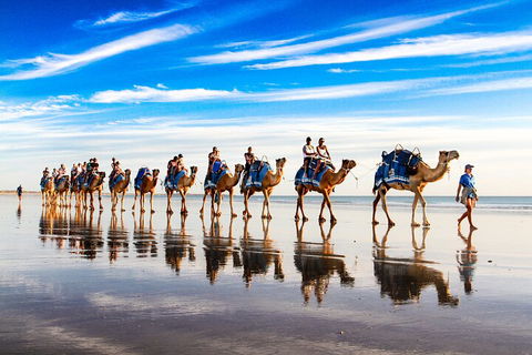 Broome Pre-sunset Camel Tour 30 Minutes - Tweed Heads Accommodation 2