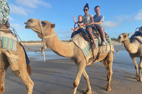 Broome Pre-sunset Camel Tour 30 Minutes - Tweed Heads Accommodation 3