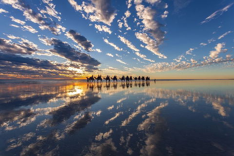 Broome Pre-sunset Camel Tour 30 Minutes - Tweed Heads Accommodation 4