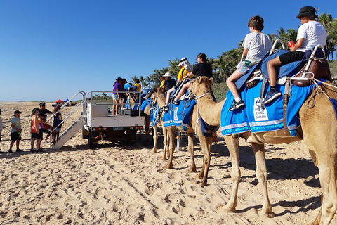 Broome Pre-sunset Camel Tour 30 Minutes - Tweed Heads Accommodation 5