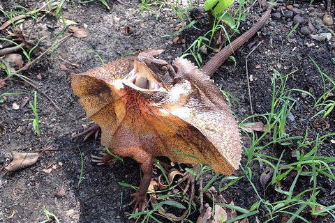 Litchfield National Park And Jumping Crocodile Cruise - Tweed Heads Accommodation 1