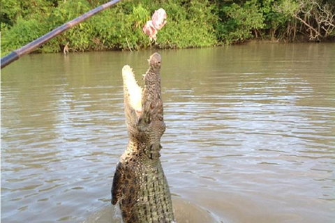 Litchfield National Park And Jumping Crocodile Cruise - Tweed Heads Accommodation 2