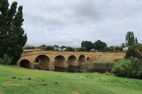 Port Arthur, Richmond And Tasman Peninsula Day Trip From Hobart - Tweed Heads Accommodation 3