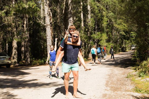 7-Day Best Of Tasmania Adventure Experience From Hobart (flexible Ticket) - Tweed Heads Accommodation 5