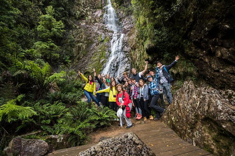 5-Day Lap Of Tasmania Tour From Hobart (flexible Ticket) - Tweed Heads Accommodation 0