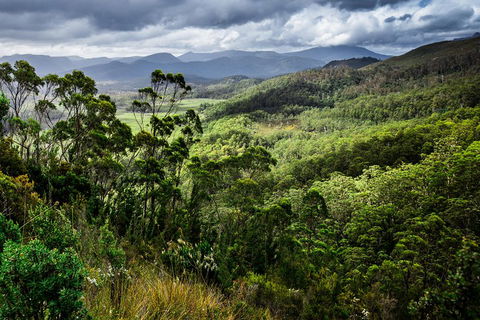 5-Day Lap Of Tasmania Tour From Hobart (flexible Ticket) - Tweed Heads Accommodation 2