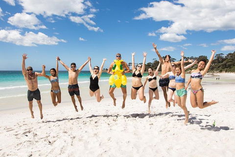 5-Day Lap Of Tasmania Tour From Hobart (flexible Ticket) - Tweed Heads Accommodation 4