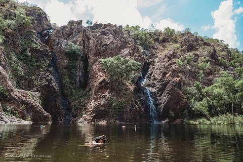 Litchfield National Park Day Tour From Darwin With Waterfalls And Buley Rockhole - Tweed Heads Accommodation 1