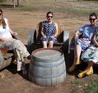 McLaren Vale Intimate Winery Tour by private Limo - Tweed Heads Accommodation