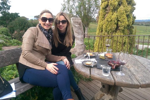 McLaren Vale Intimate Winery Tour By Private Limo - Tweed Heads Accommodation 4