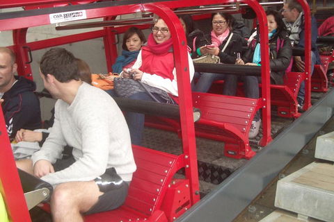 Full-Day Private Blue Mountains Tour With River Cruise - Tweed Heads Accommodation 0