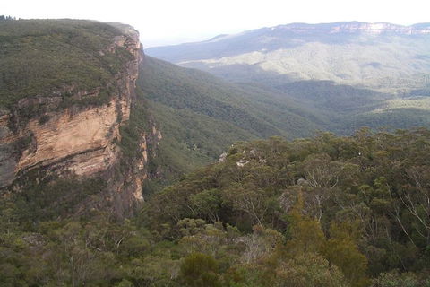 Full-Day Private Blue Mountains Tour With River Cruise - Tweed Heads Accommodation 3