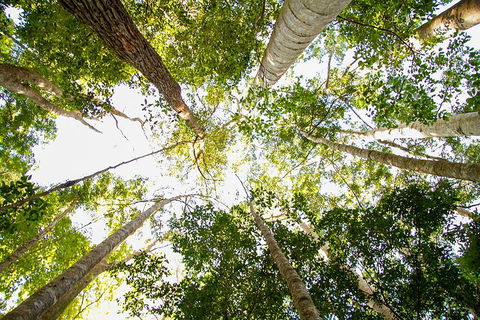 Fraser Island 4WD Tour From Noosa - Tweed Heads Accommodation 0
