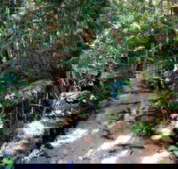 Fraser Island 4WD Tour from Rainbow Beach - Tweed Heads Accommodation