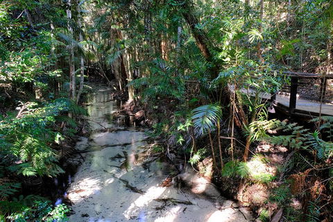 Fraser Island 4WD Tour From Rainbow Beach - Tweed Heads Accommodation 0