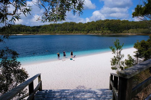 Fraser Island 4WD Tour From Rainbow Beach - Tweed Heads Accommodation 3