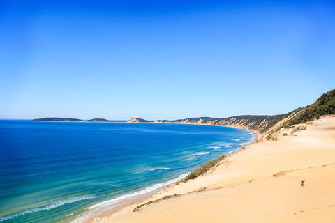Kayak With Dolphins And 4WD Great Beach Drive Day Trip From Noosa - Tweed Heads Accommodation 0