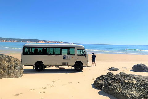 Kayak With Dolphins And 4WD Great Beach Drive Day Trip From Noosa - Tweed Heads Accommodation 4