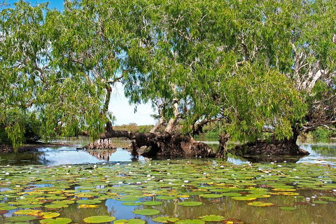 Ethical Adventures - Best In The WET - Litchfield / Kakadu 3 Day- Max 10 Guests - Tweed Heads Accommodation 1