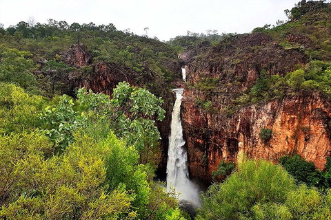 Ethical Adventures - Best In The WET - Litchfield / Kakadu 3 Day- Max 10 Guests - Tweed Heads Accommodation 2