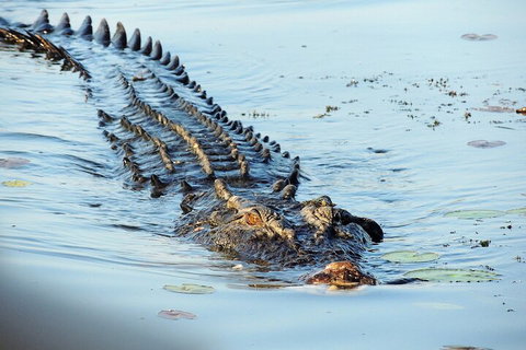 Ethical Adventures - Best In The WET - Litchfield / Kakadu 3 Day- Max 10 Guests - Tweed Heads Accommodation 4