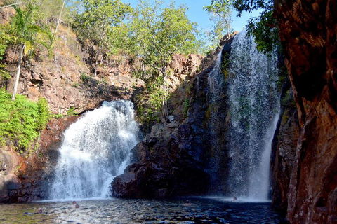Ethical Adventures - Pure Litchfield - Tweed Heads Accommodation 3