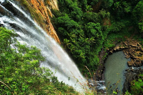 Rainforest & Waterfalls Extravaganza - Tweed Heads Accommodation 1
