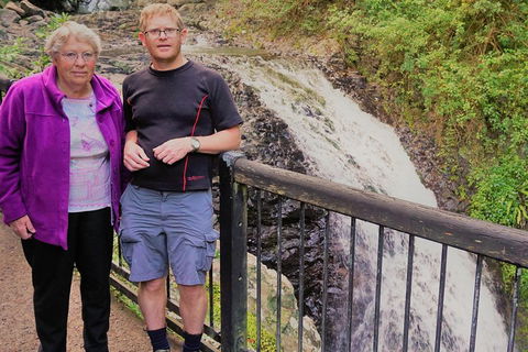 Natural Arch, Rainforest & Volcano Canyon - Private Half Day Tour - Tweed Heads Accommodation 1