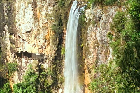 Private Tour - Rainforest & Waterfalls Extravaganza - Tweed Heads Accommodation 0