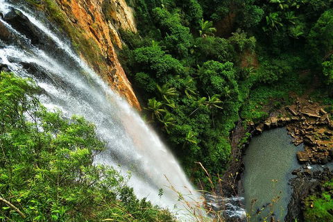 Private Tour - Rainforest & Waterfalls Extravaganza - Tweed Heads Accommodation 2