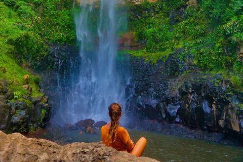 Private Tour - Rainforest & Waterfalls Extravaganza - Tweed Heads Accommodation 3