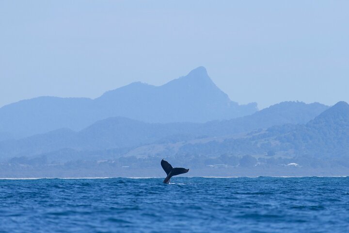  Tweed Heads Accommodation