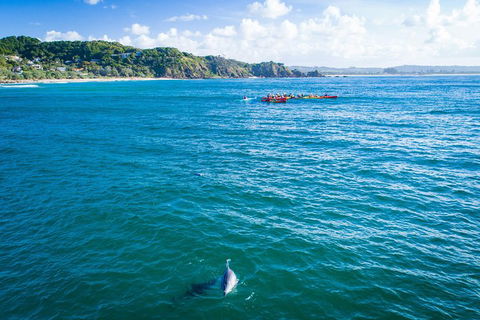 The Byron Bay Sea Kayak Tour - Tweed Heads Accommodation 2