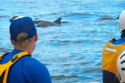 The Byron Bay Sea Kayak Tour - Tweed Heads Accommodation 4