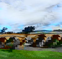 Tasmania 6 Day 'Tour in Circle' - Tweed Heads Accommodation