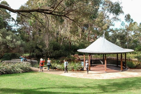 Highlights Of Kings Park - Tweed Heads Accommodation 1