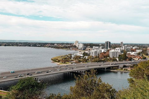 Highlights Of Kings Park - Tweed Heads Accommodation 2