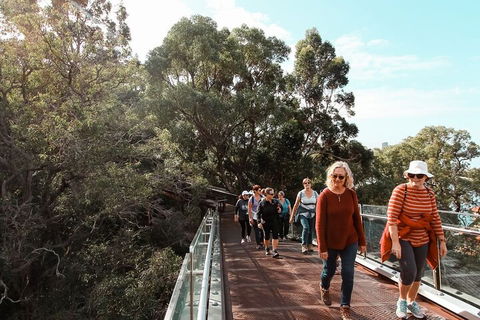 Highlights Of Kings Park - Tweed Heads Accommodation 3