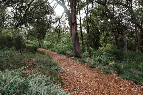 Highlights Of Kings Park - Tweed Heads Accommodation 5