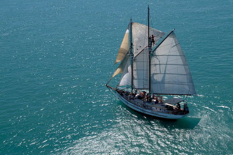 Whitehaven Beach Sailing And Snorkeling Cruise - Tweed Heads Accommodation 1